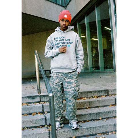 Champion large hoodie online